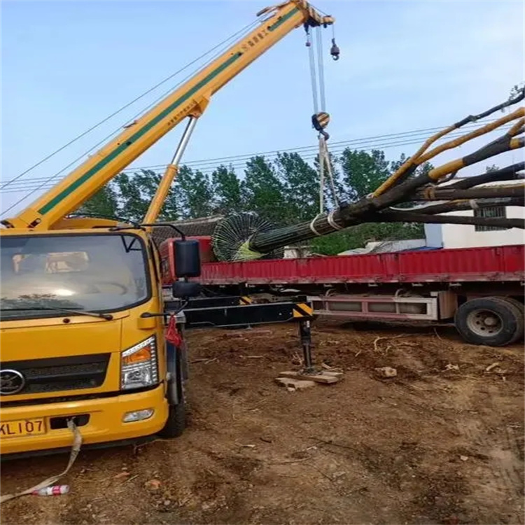 渔洋镇100吨吊车租赁费用怎么算？3大关键因素+省钱技巧全解析